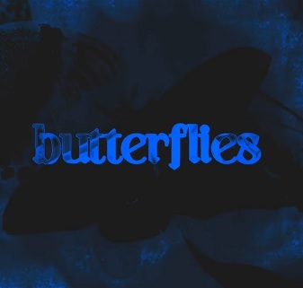 butterflies