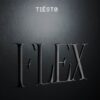 Tiësto & Oscar L – Flex