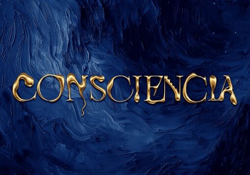 Tomorrowland lanceert exclusief vinyl